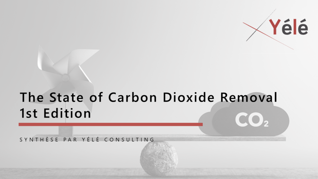 Synthése The state of carbon Dioxide Removal by Yélé Consulting