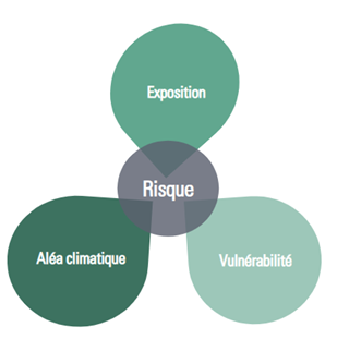 Schéma des Risques : Exposition, Aléa climatique, Vulnérabilité - Yélé Consulting